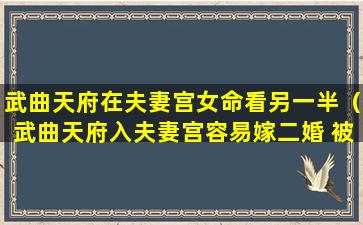 武曲天府在夫妻宫女命看另一半（武曲天府入夫妻宫容易嫁二婚 被有家室人追求）